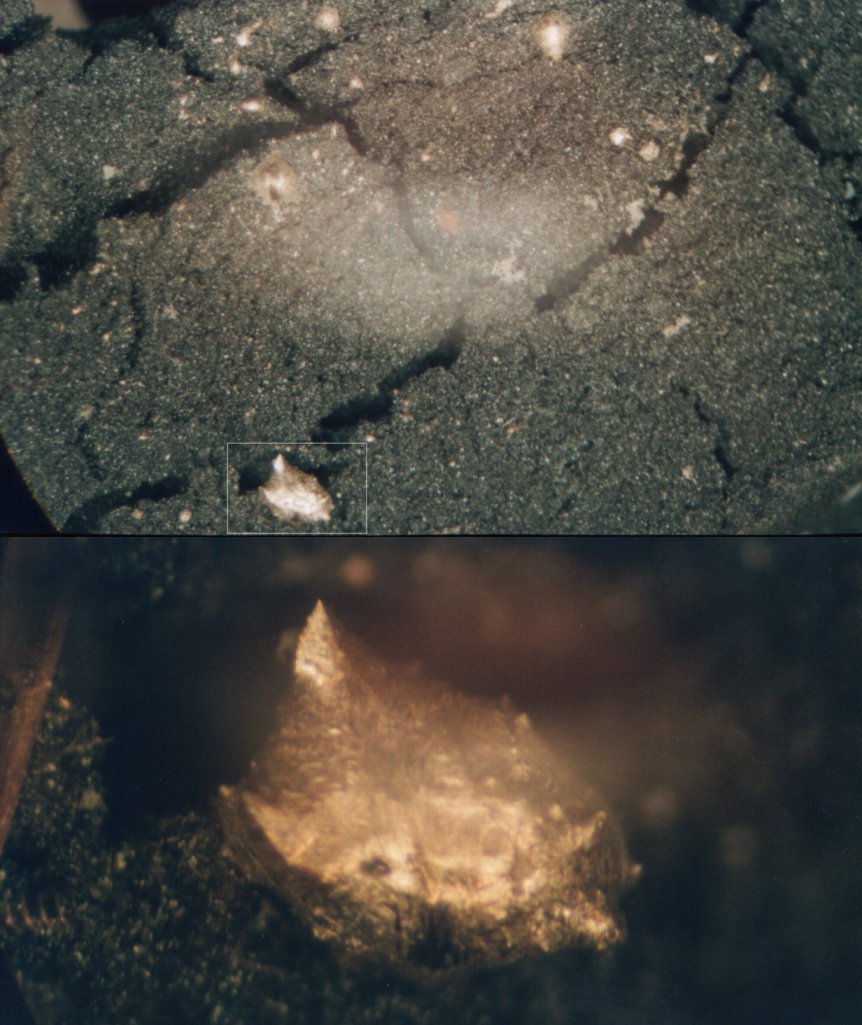 Growing Gold